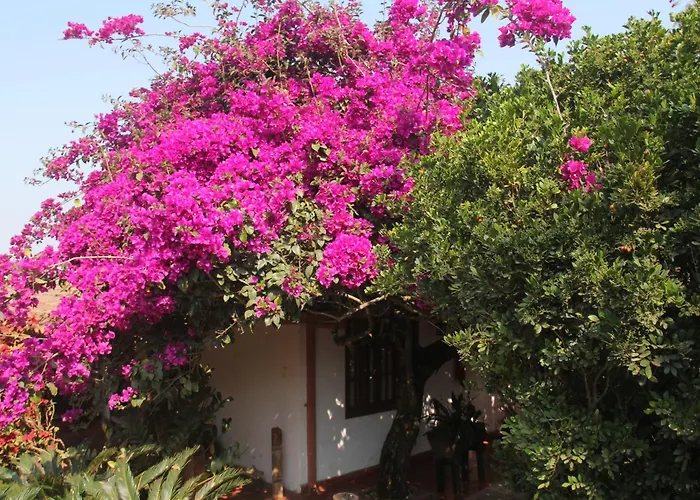 Pousada Kokopelli Lavras Novas